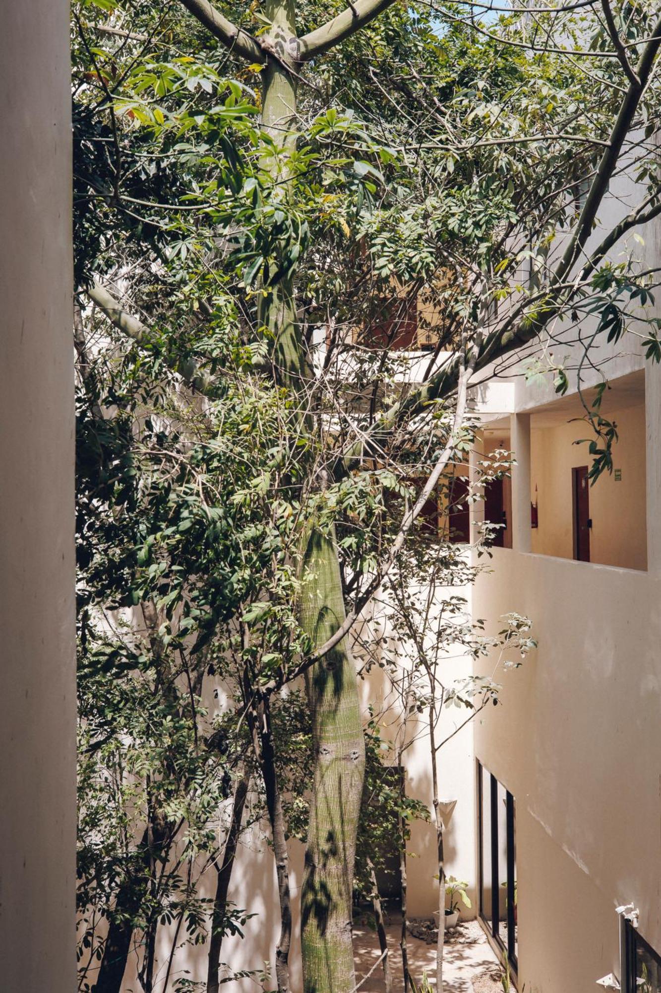 2 Bikes Free Exlusive Building Close To The Sea Tulum Pueblo Buitenkant foto